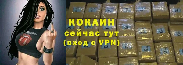 PSILOCYBIN Богородицк