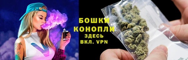 PSILOCYBIN Богородицк