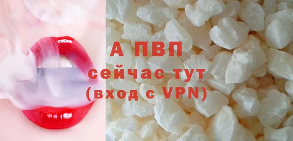 первитин Богданович