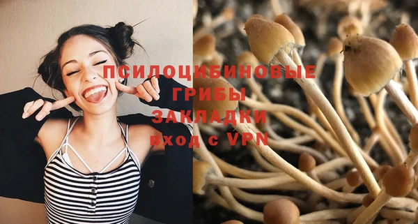 первитин Богданович