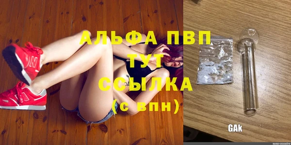 первитин Богданович