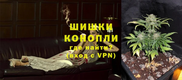 PSILOCYBIN Богородицк