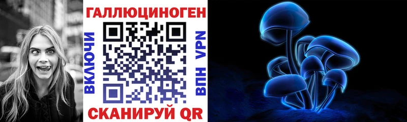 Купить где  Рыбное  Галлюциногенные грибы GOLDEN TEACHER 
