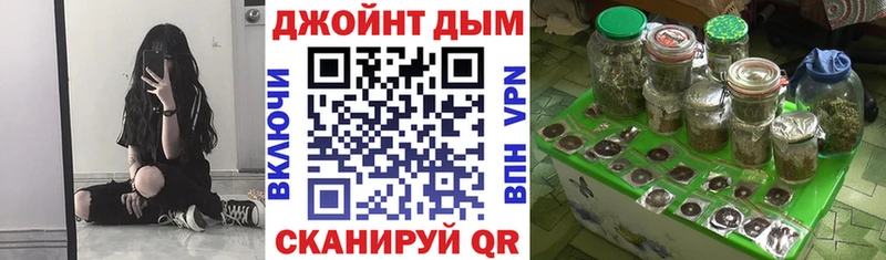 Конопля OG Kush  Купить где  Рыбное 
